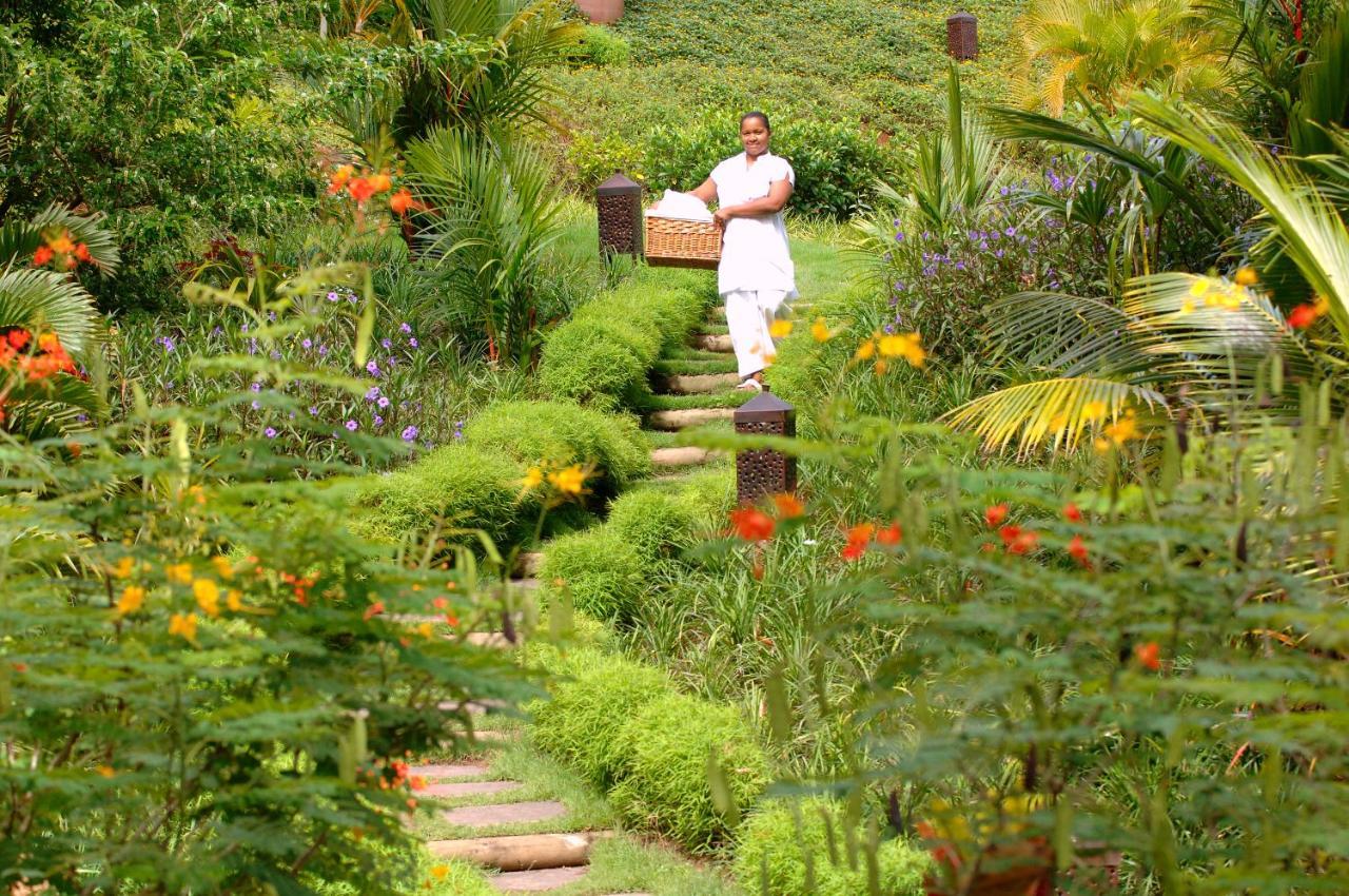 Lakaz Chamarel Exclusive Lodge Bagian luar foto